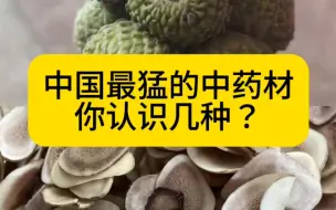 Tải video: 补肾猛药你认识几种？