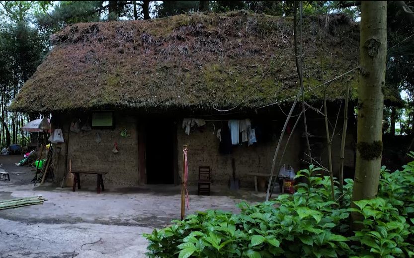 贵州夫妻隐居深山住茅屋吃野菜过着世外桃源般的生活上