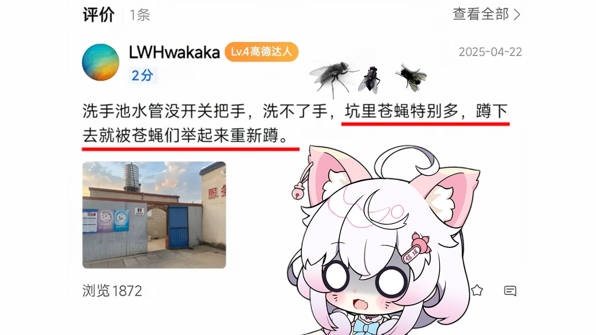 《厕所里...没有厕所》海报
