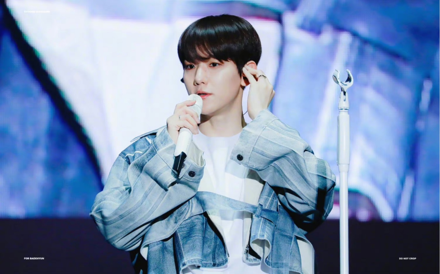 【边伯贤】230423 bungee @ lovesome festival