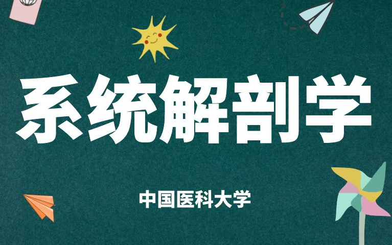 [图]《系统解剖学》全集-中国医科大学