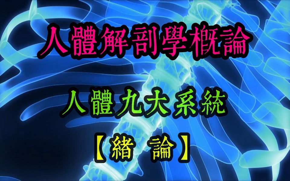 04中国书法系列之 西医人体解剖学概论 【人体九大系统】哔哩哔哩bilibili