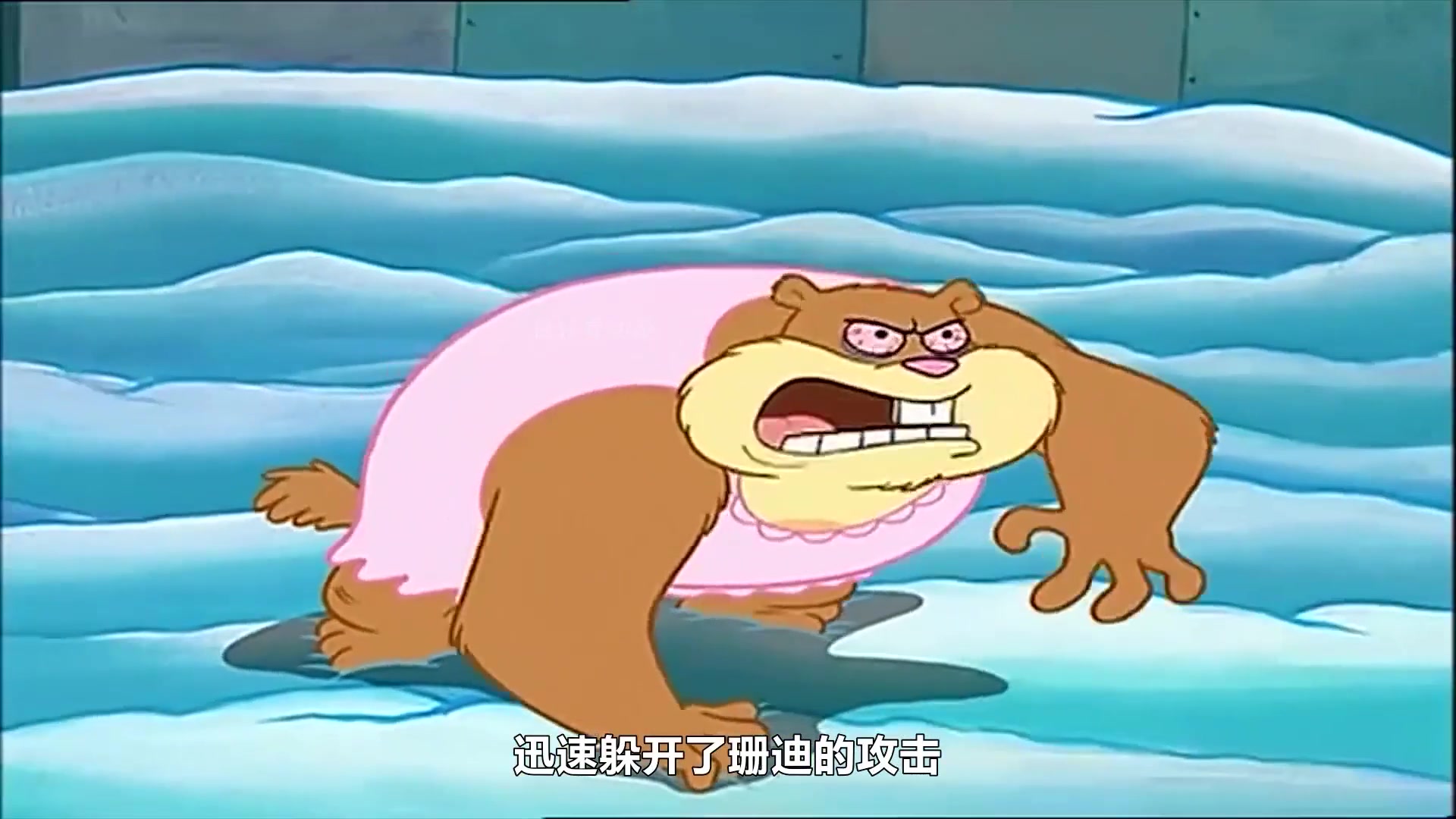 童年动漫:海绵宝宝和派大星吵醒了冬眠的珊迪,这下真是芭比q了