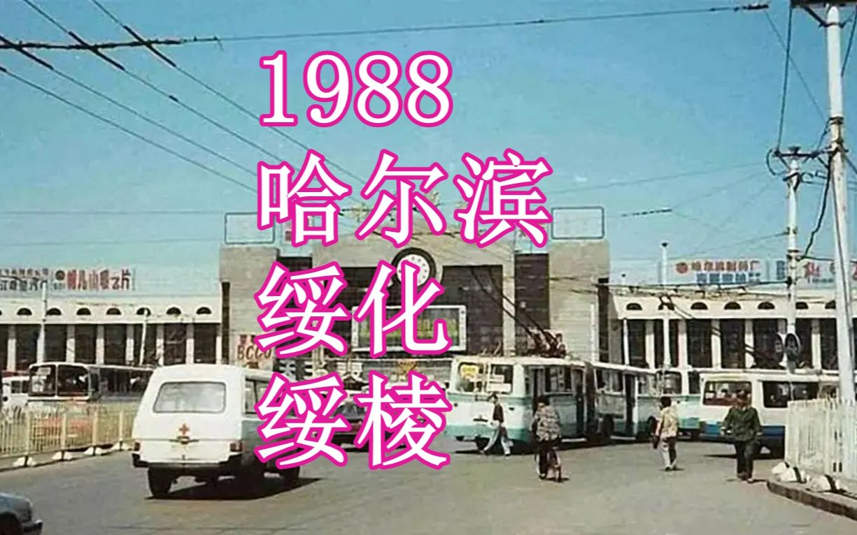 1988年黑龙江,哈尔滨  绥化  绥棱哔哩哔哩bilibili