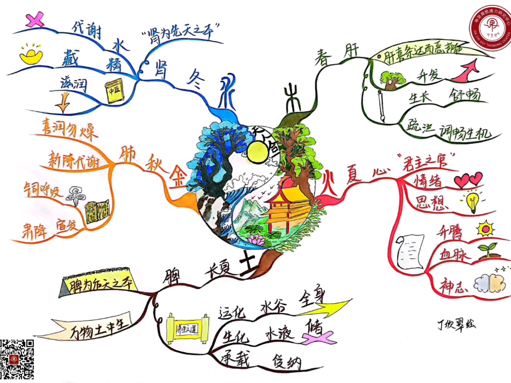 【思维导图|养生篇】