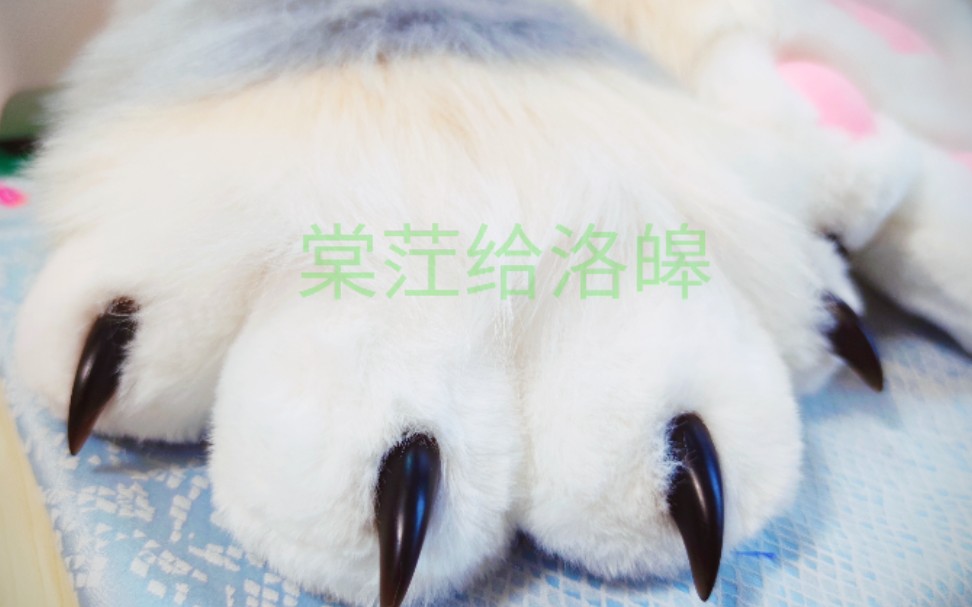 【棠茳/fursuit兽爪】是洛皞的爪子!!哔哩哔哩bilibili