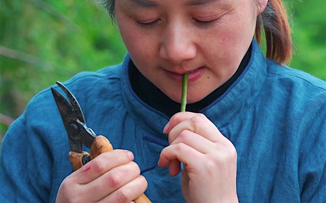 在春天所有人都见过,但你肯定没吃过的美味——芦苇笋.哔哩哔哩bilibili