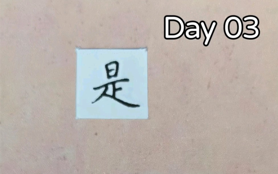 100个常用规范字百日打卡Day3:“是”字哔哩哔哩bilibili