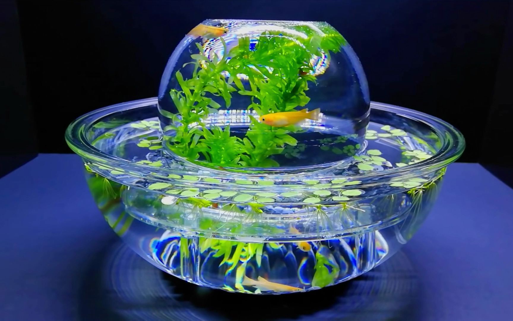 2022623日本玩家做的小型空中悬浮鱼缸