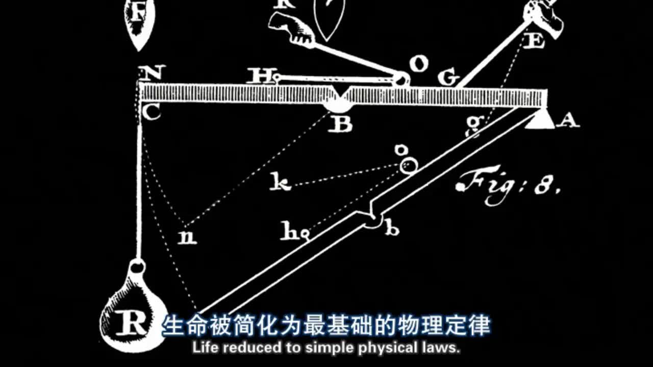 伽伐尼对死青蛙的腿进行实验,他宣称发现了"生物电"