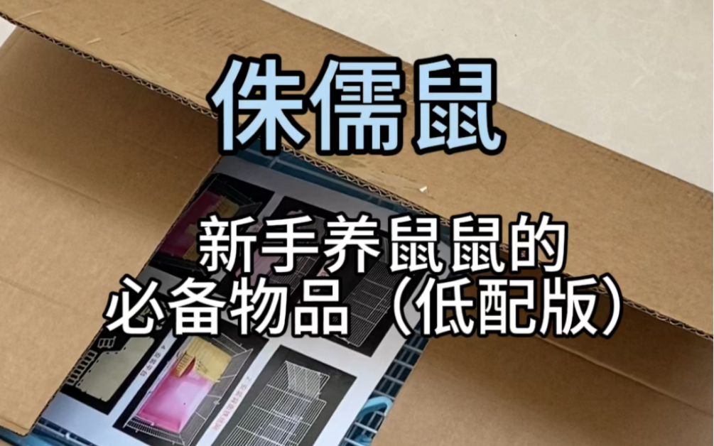 新手养仓鼠必备物品