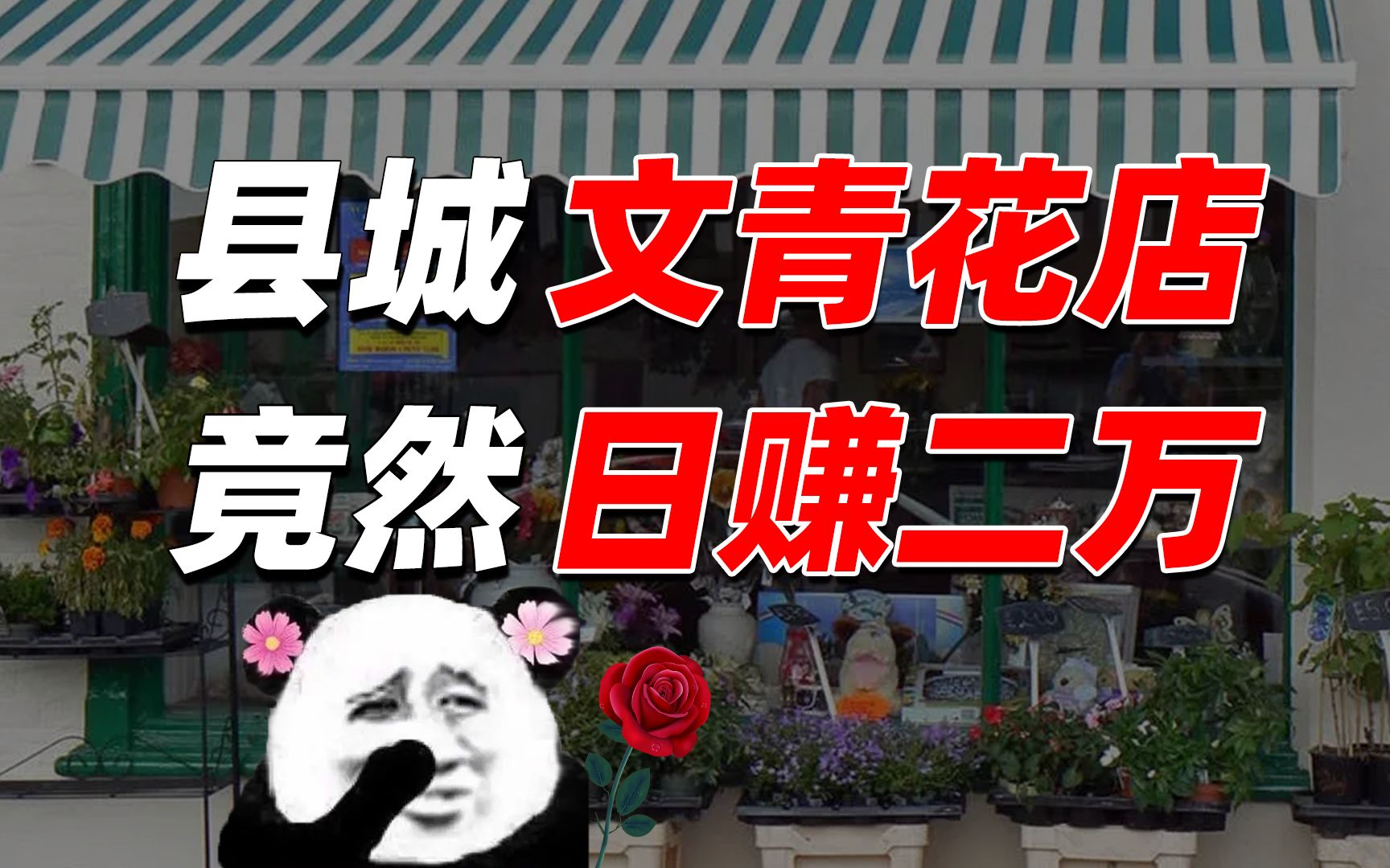 在小县城开花店没“钱途”?不好意思,我一天就赚了2万!【盘个店】哔哩哔哩bilibili