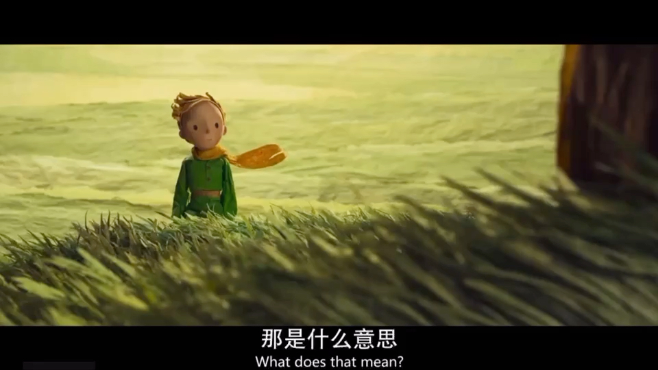 小王子配音 the little prince