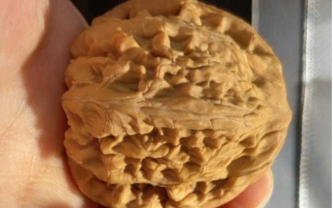 0的望月狮子头骨质一流牛筋红走色我的最爱[色][色]快选他