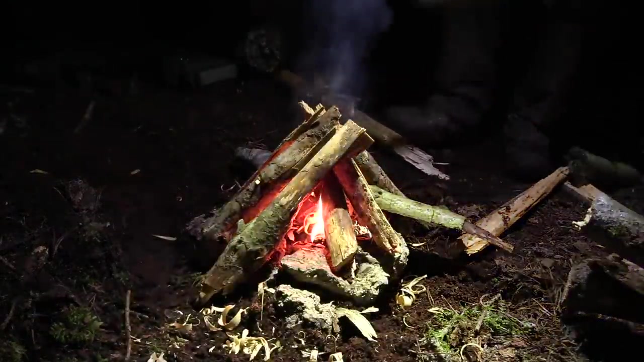 [图]【荒野求生】5种丛林庇护所搭建方式