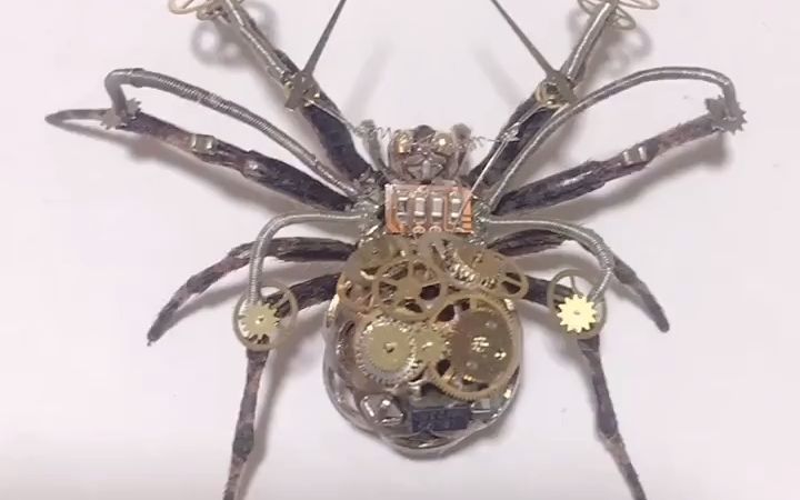 【标本制作】大腹园蛛升级为机甲战士!