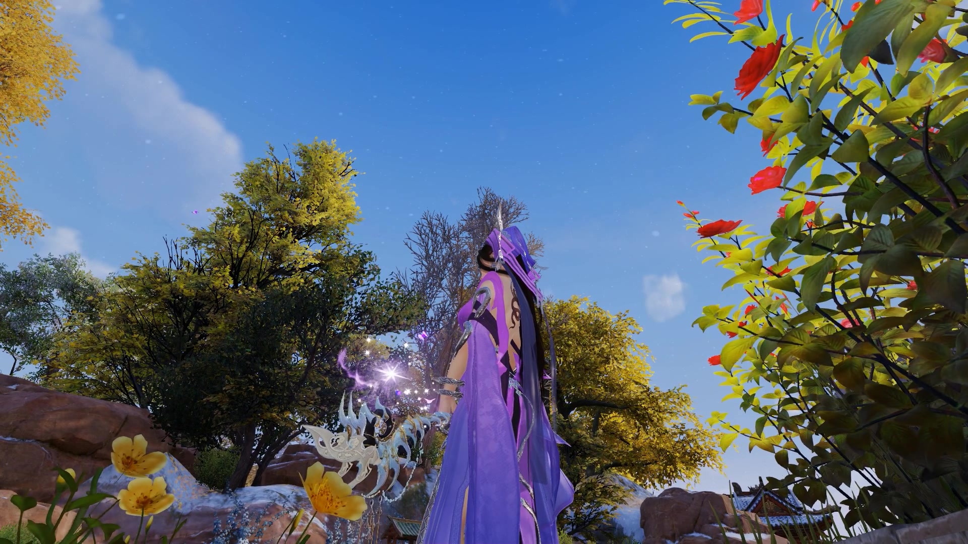 花萝95小cw升满阶特效