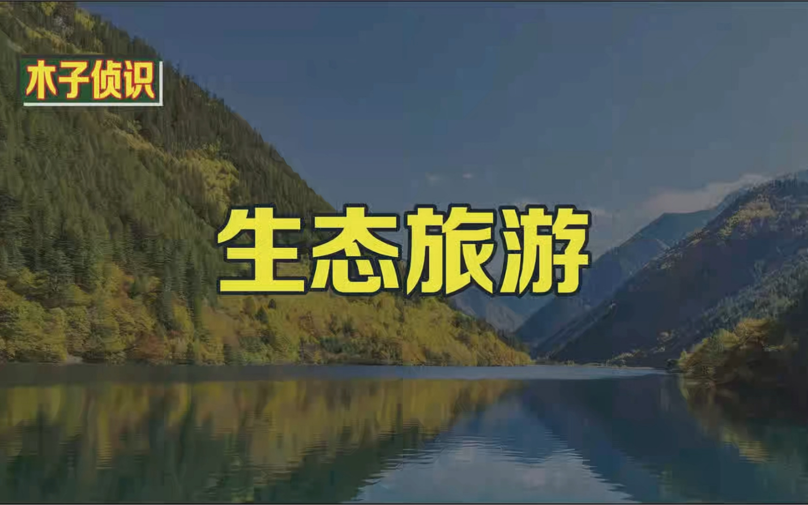 生态旅游哔哩哔哩bilibili