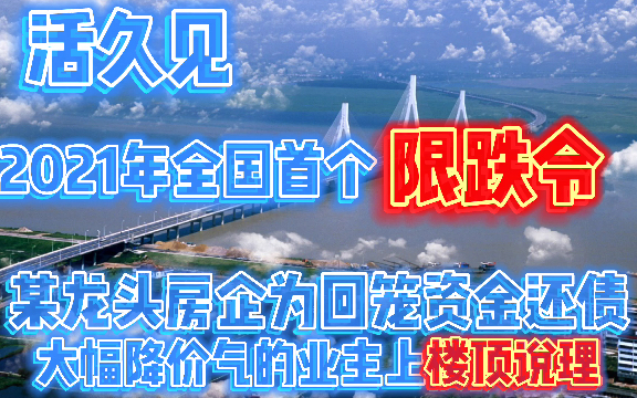 2021年全国首个限跌令!是保价阻止先涨后跌销售套路还是地方私心哔哩哔哩bilibili