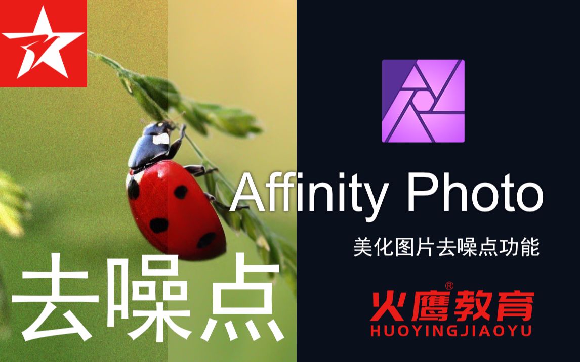 15Affinity Photo超强去噪功能美化图片必备技能哔哩哔哩bilibili