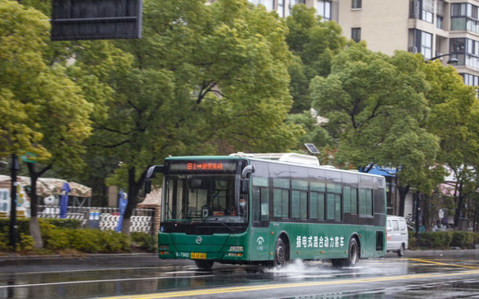 杭州公交81路金旅混动实录
