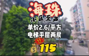 Tải video: 115万小区电梯两房，封闭式小区管理，环境优美 停车方便，上车笋盘