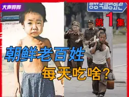 Tải video: 【朝鲜修炼笔记】朝鲜普通人一日三餐吃什么？饿死人叫“吃太饱” ？