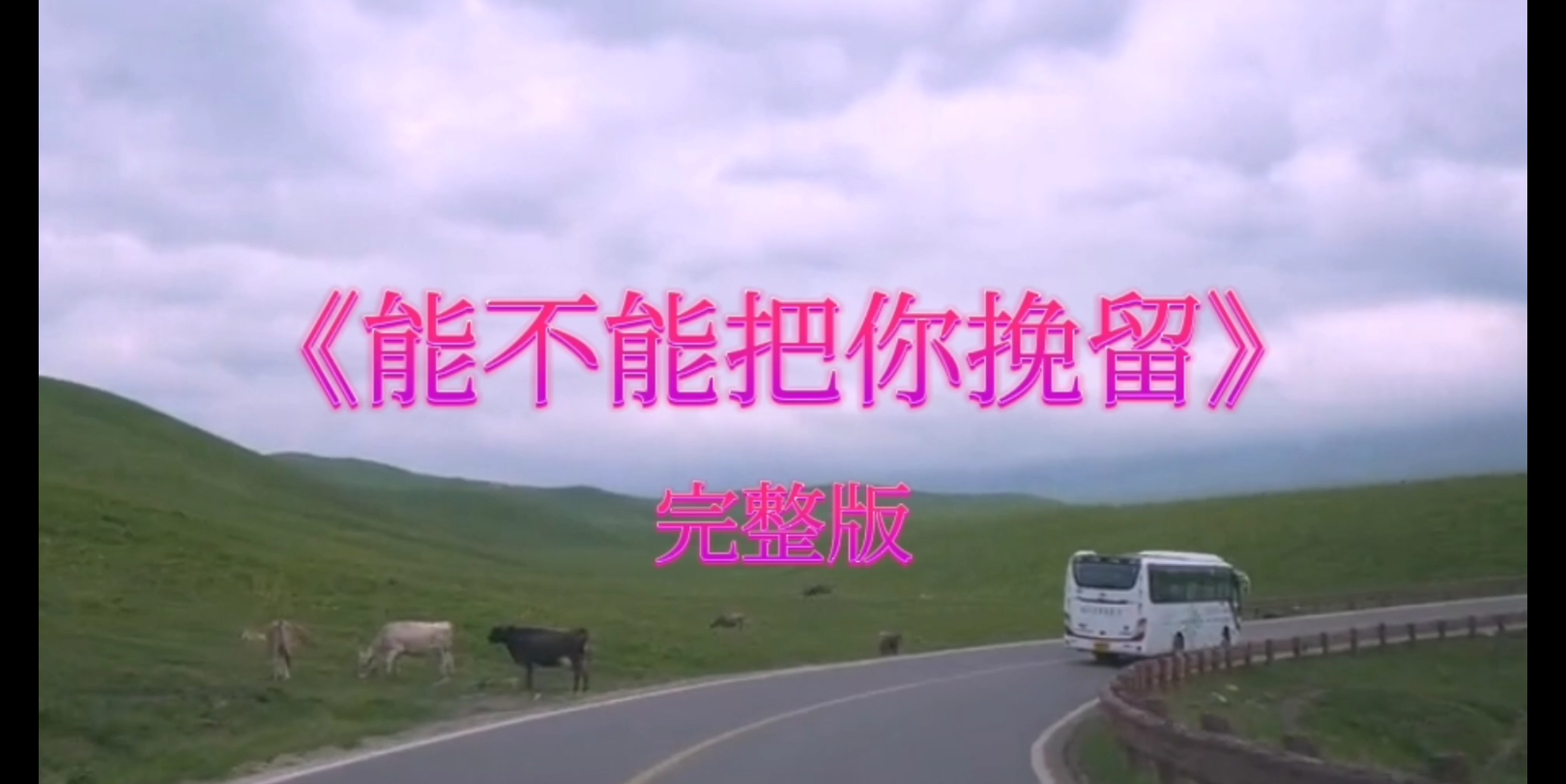 歌曲《能不能把你挽留》