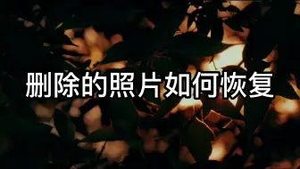 删除的照片如何恢复