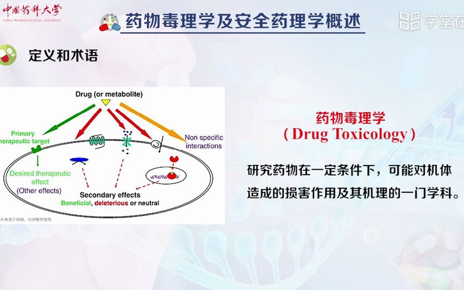 4.1 药物毒理学及安全药理学概述哔哩哔哩bilibili