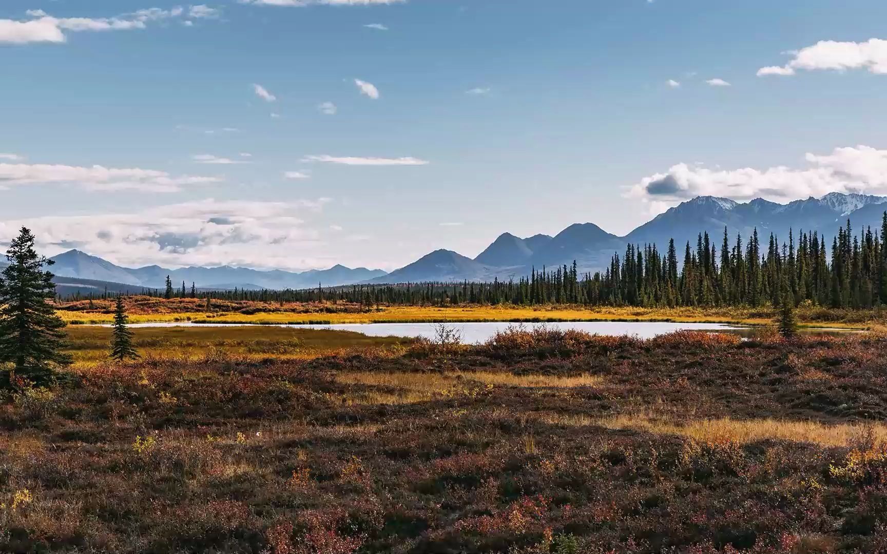 李耀让你赚100万的四大思维