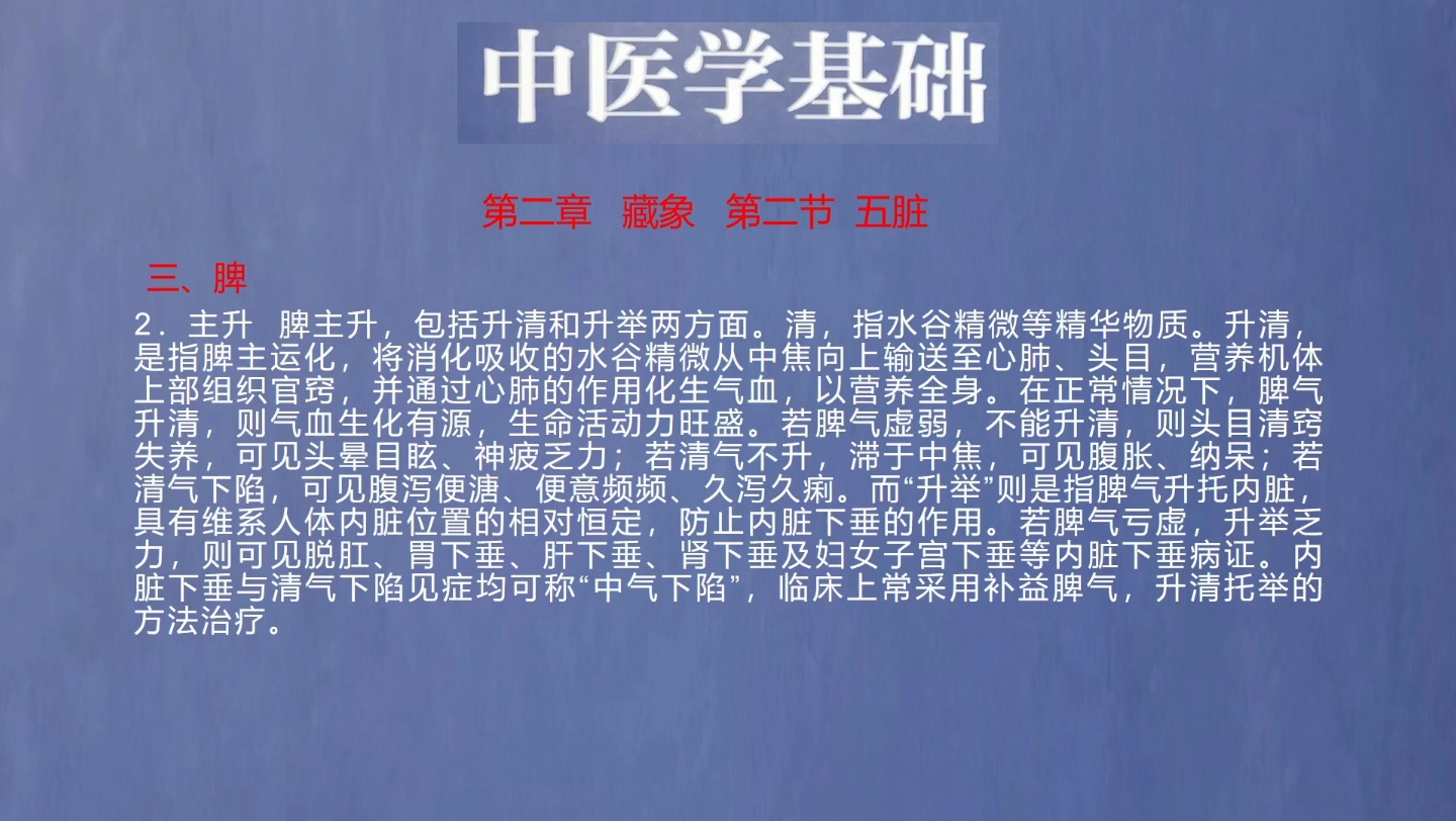 《中医学基础》第二章第二节五脏之脾2哔哩哔哩bilibili