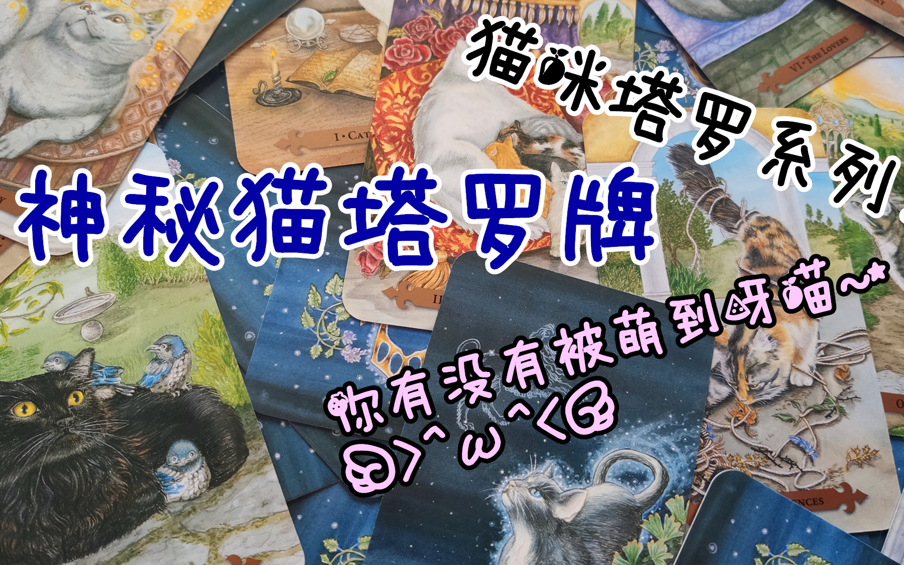 【塔罗展示】神秘猫塔罗牌——Myatical Cats Tarot哔哩哔哩bilibili