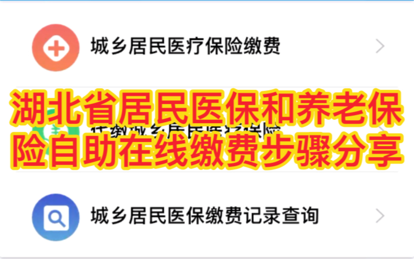 湖北省居民医保和养老保险自助在线缴费步骤分享#城乡居民医保#城乡养老保险#居民医保#养老保险@所有人哔哩哔哩bilibili