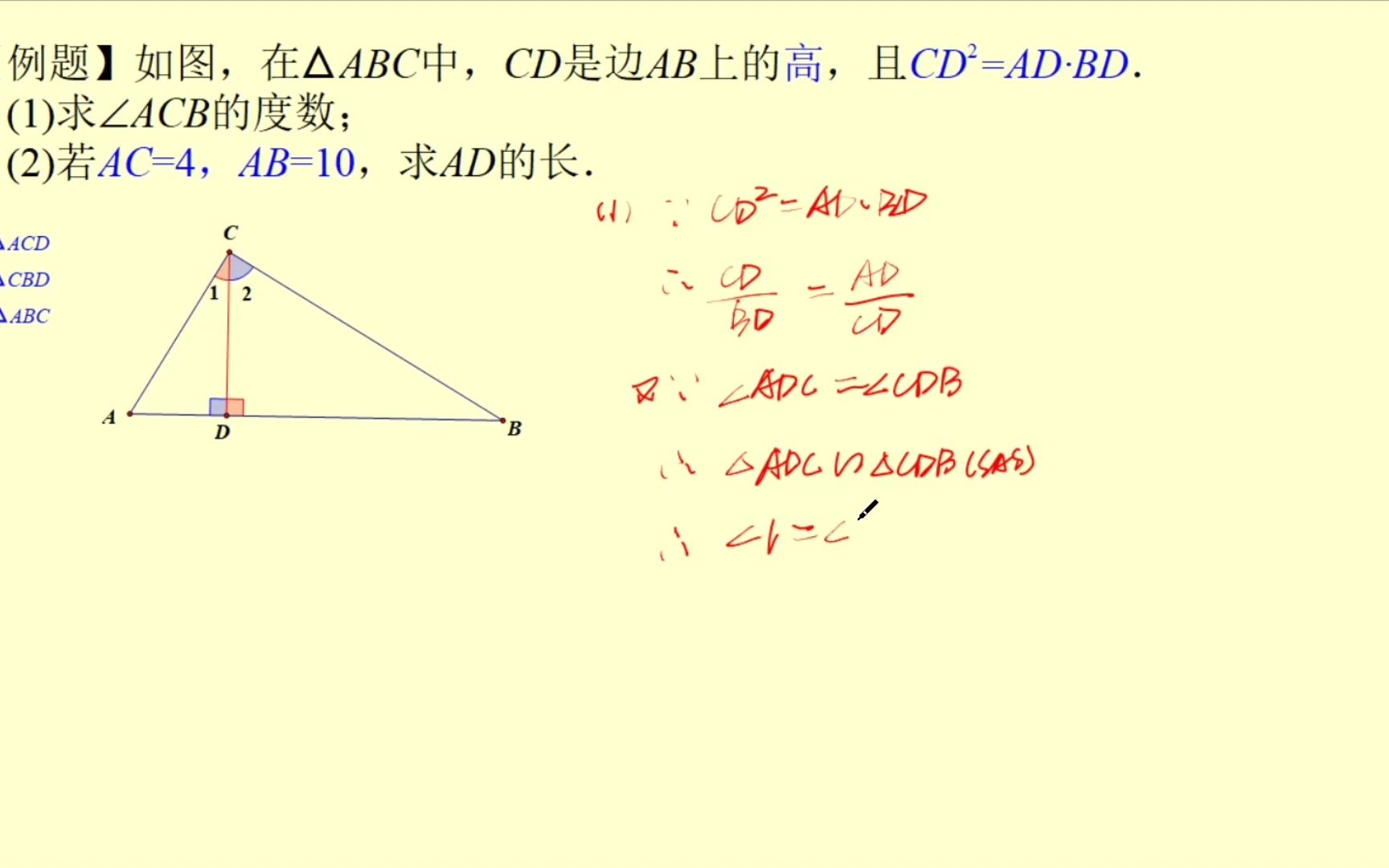 双垂型(背靠背)模型(3)_哔哩哔哩_bilibili