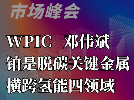 WPIC邓伟斌:铂是脱碳关键金属,横跨氢能四领域哔哩哔哩bilibili