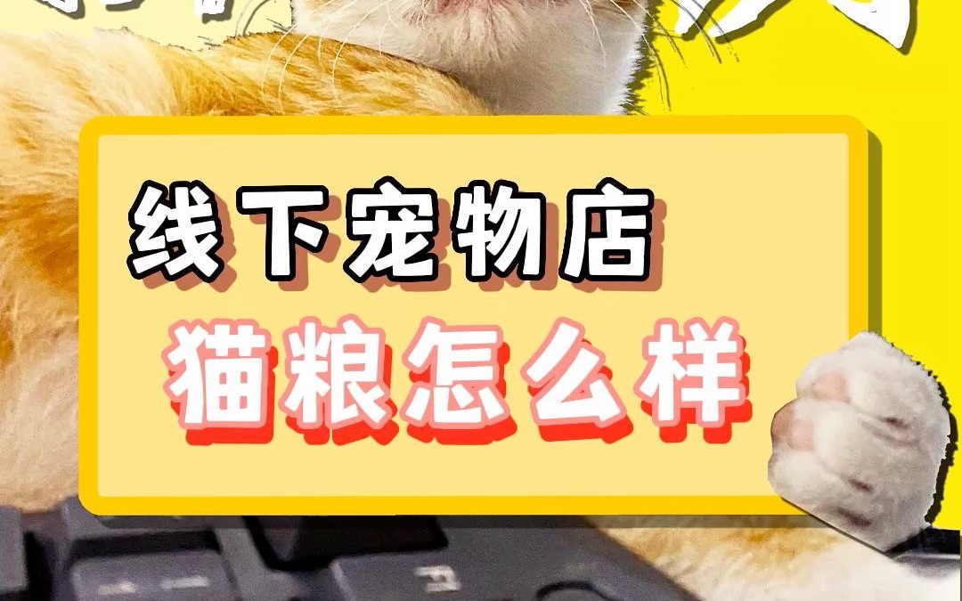 线下实体店的猫粮怎么样?哔哩哔哩bilibili