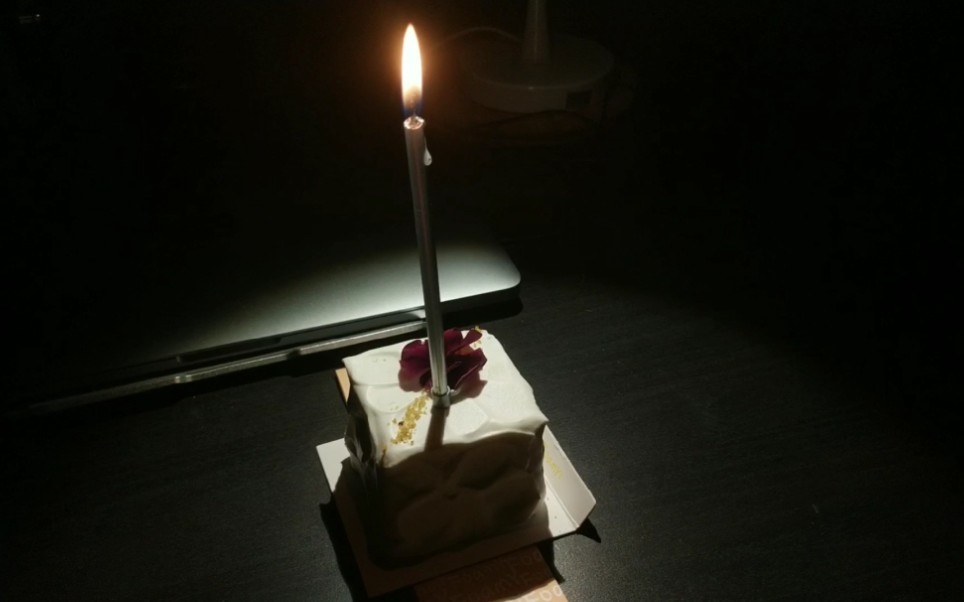 【奥莉弗和卢米娜】一个人过生日/吃一块芋泥蛋糕/312植树节_哔哩哔哩