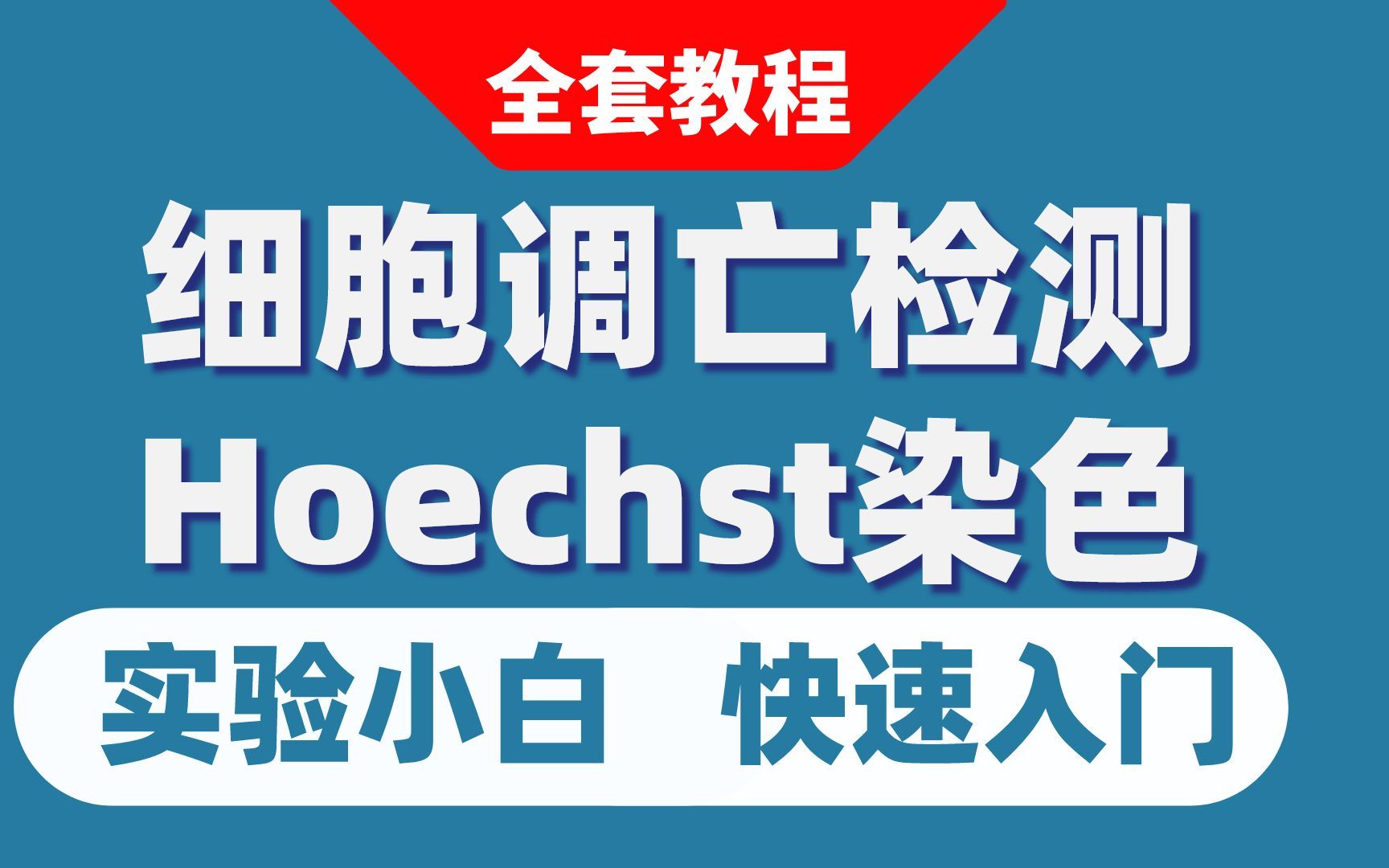 DNA染色选择多,看一下最常用的PI和Hoechst染色步骤哔哩哔哩bilibili