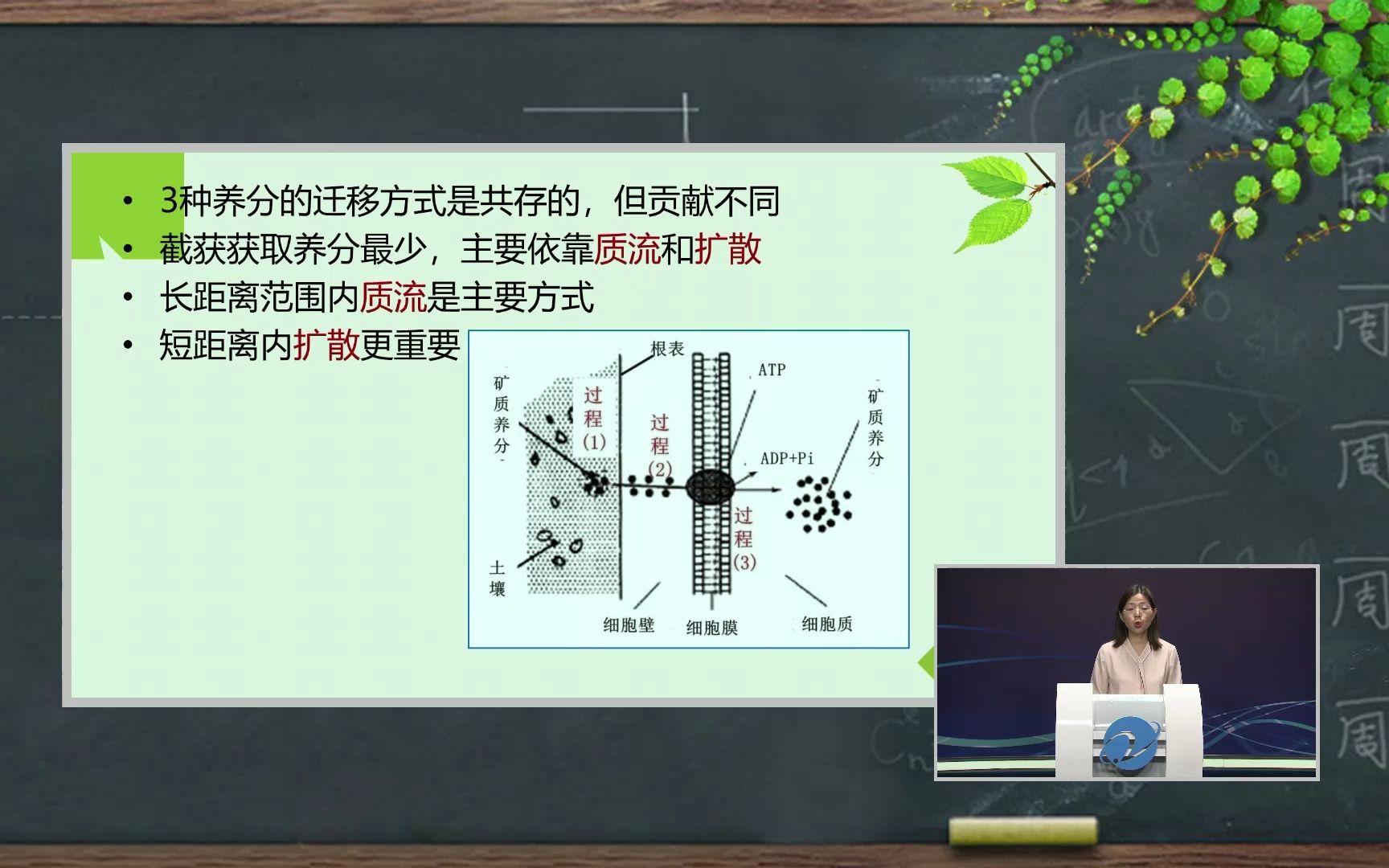 植物营养学 | 03植物营养与施肥基础理论哔哩哔哩bilibili