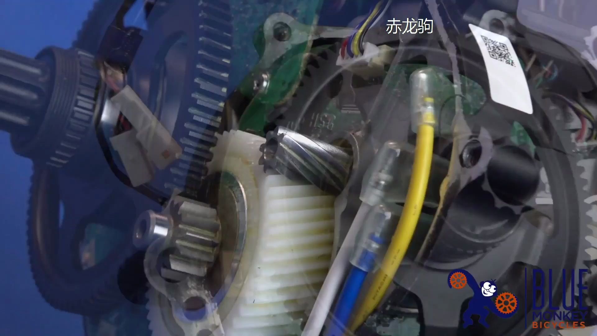 69yamahapwx电机内部