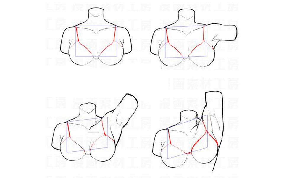 【板绘小白联盟】某男画师在线教你如何穿好bra,展