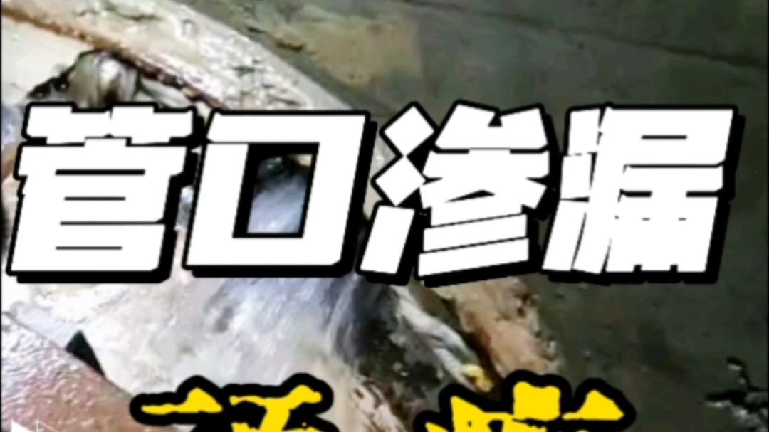 各类管道管口渗漏顽疾怎样才能有效解决呢?#防水以及修缮工程 #防水堵漏 #专业防水补漏 #壹修天地 #防水哔哩哔哩bilibili