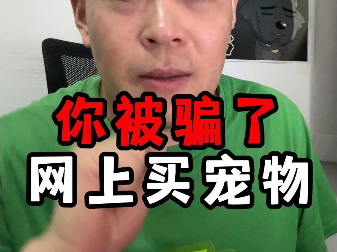 网上买宠物,还有套路?哔哩哔哩bilibili