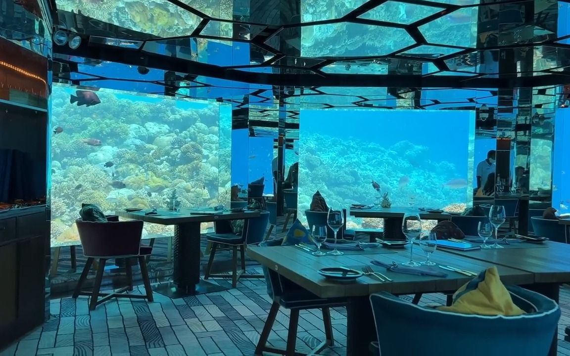 马尔代夫的水下餐厅——超现实的美食体验