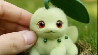 我养的菊草叶可爱吗？