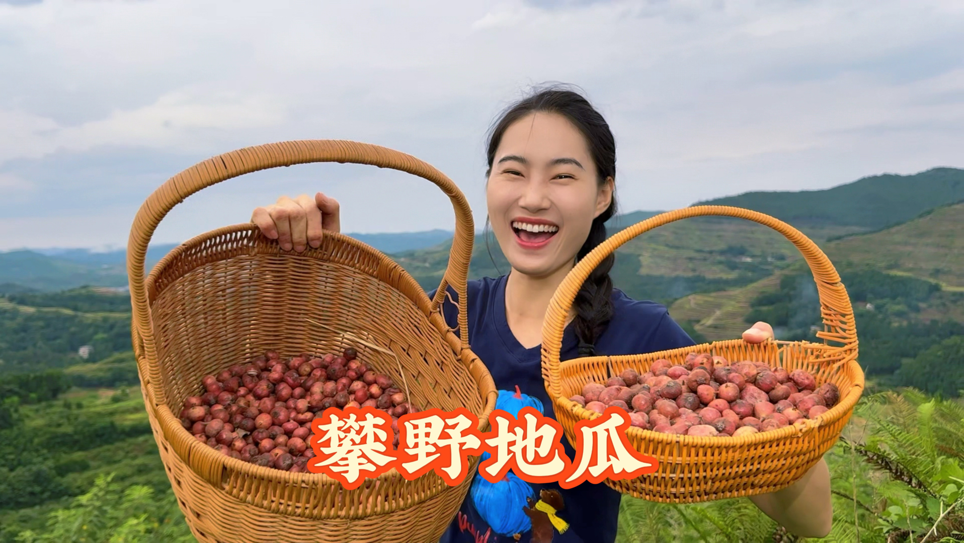 凌晨摸黑进山攀地瓜，一整片直接看呆了