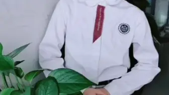 14号 爱吃零食的小白兔 哔哩哔哩 Bilibili