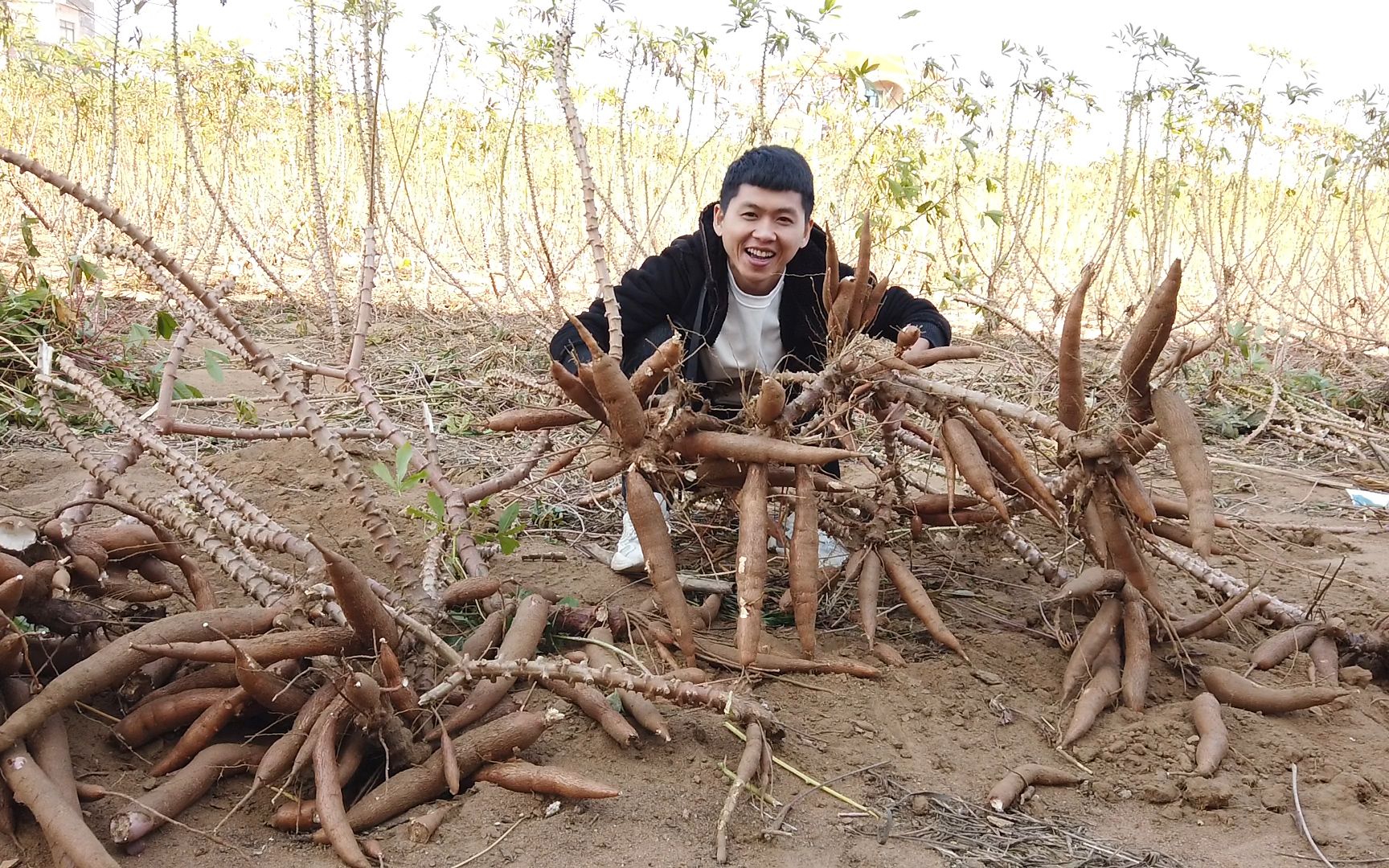 广西小伙带女朋友回家拔木薯,3毛1斤,做农民太难了_哔哩哔哩 (゜-゜)