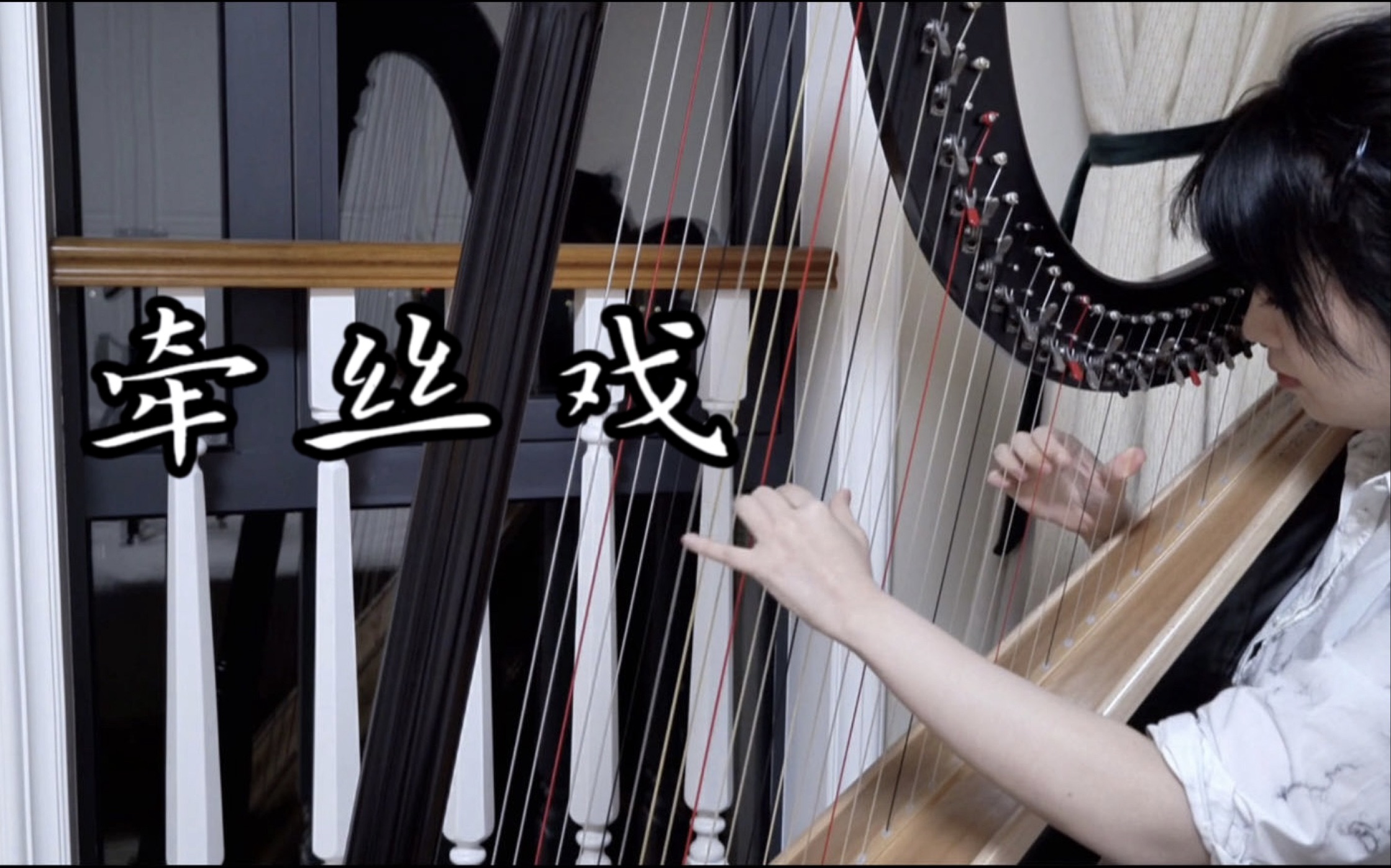【竖琴/古风】牵丝戏:"愿谁记得谁 最好的年岁"-陆忘离-陆忘离-哔哩